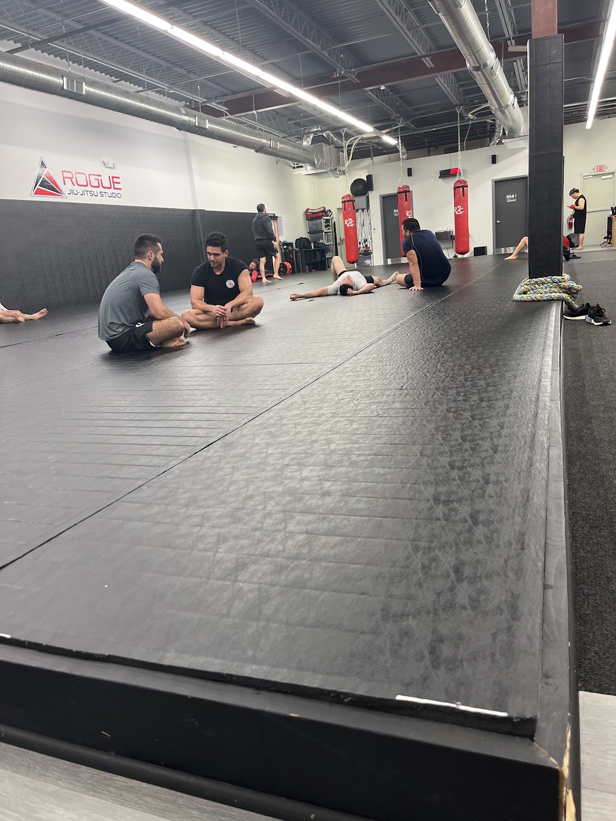 Image 7 of Rogue Jiu-Jitsu Studio