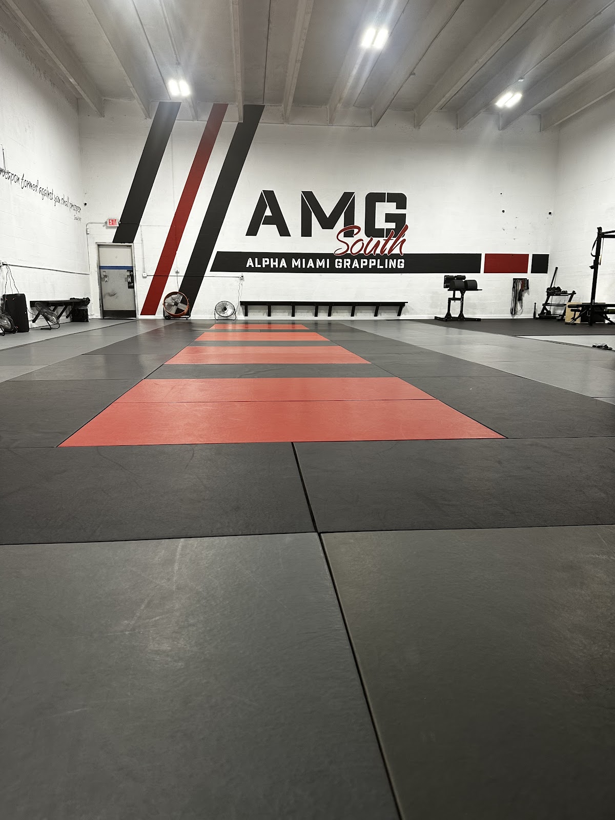 Image 3 of Alpha Miami Grappling South