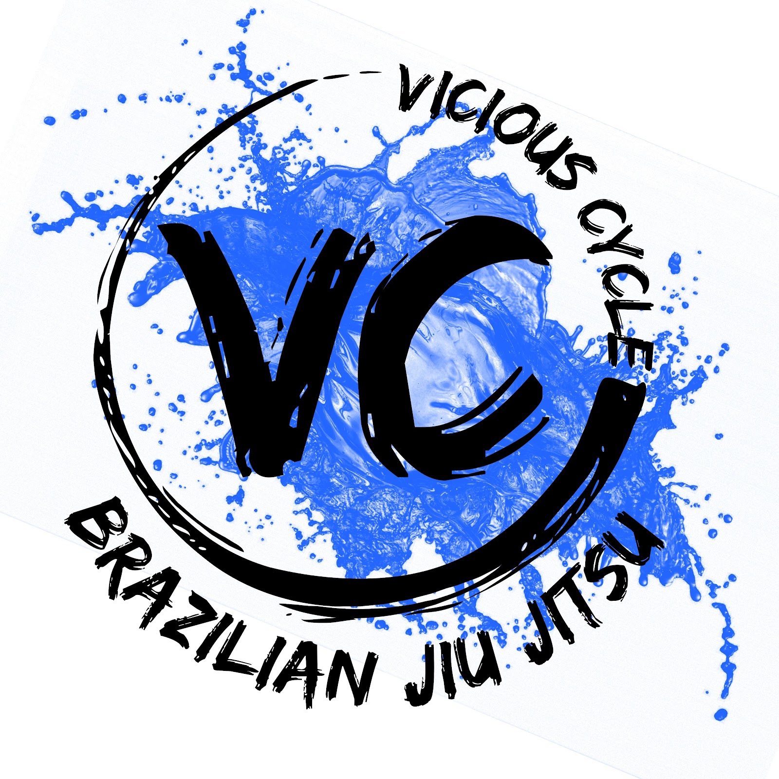 Vicious Cycle Brazilian Jiu-Jitsu LLC photo