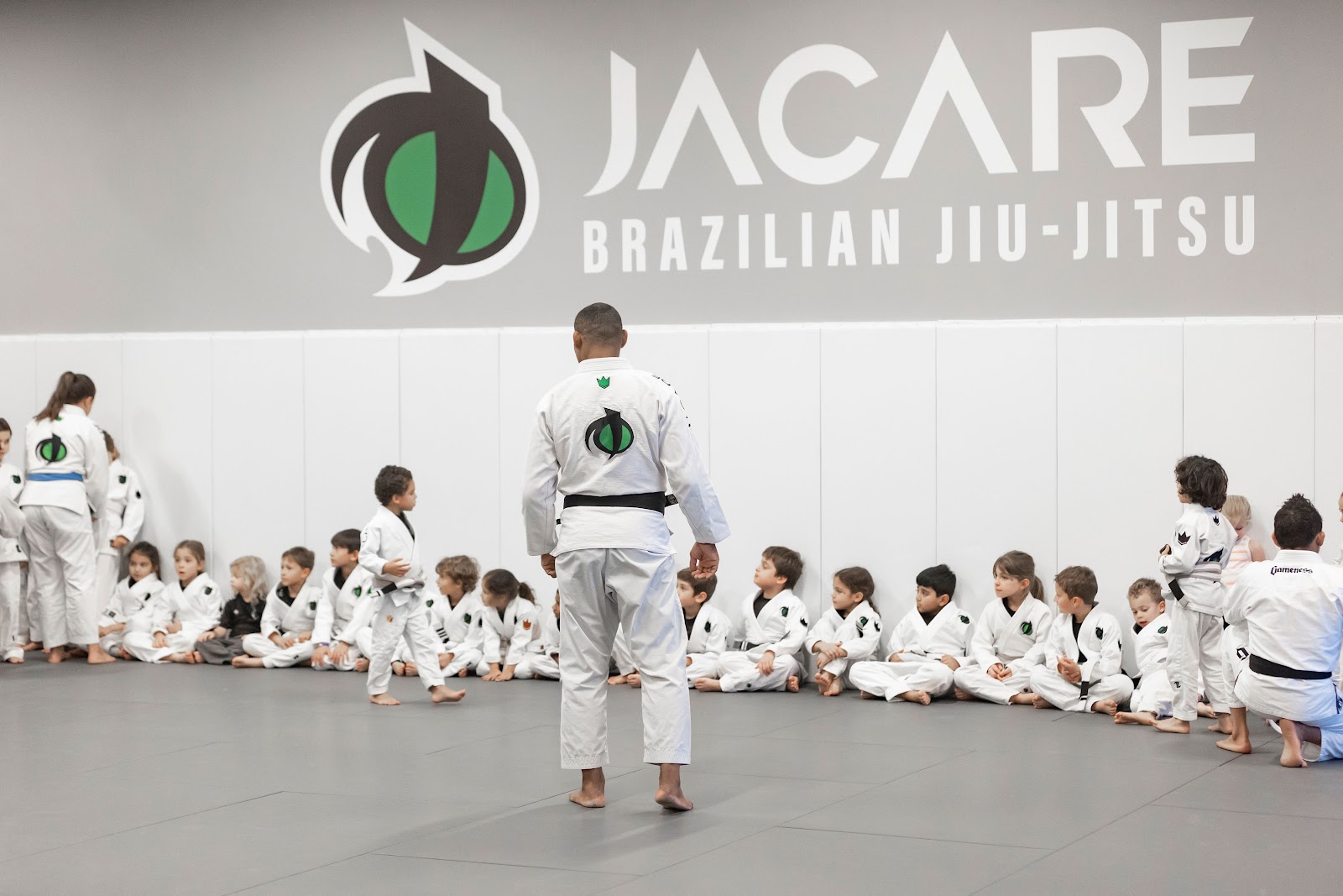 Jacare Martial Arts photo