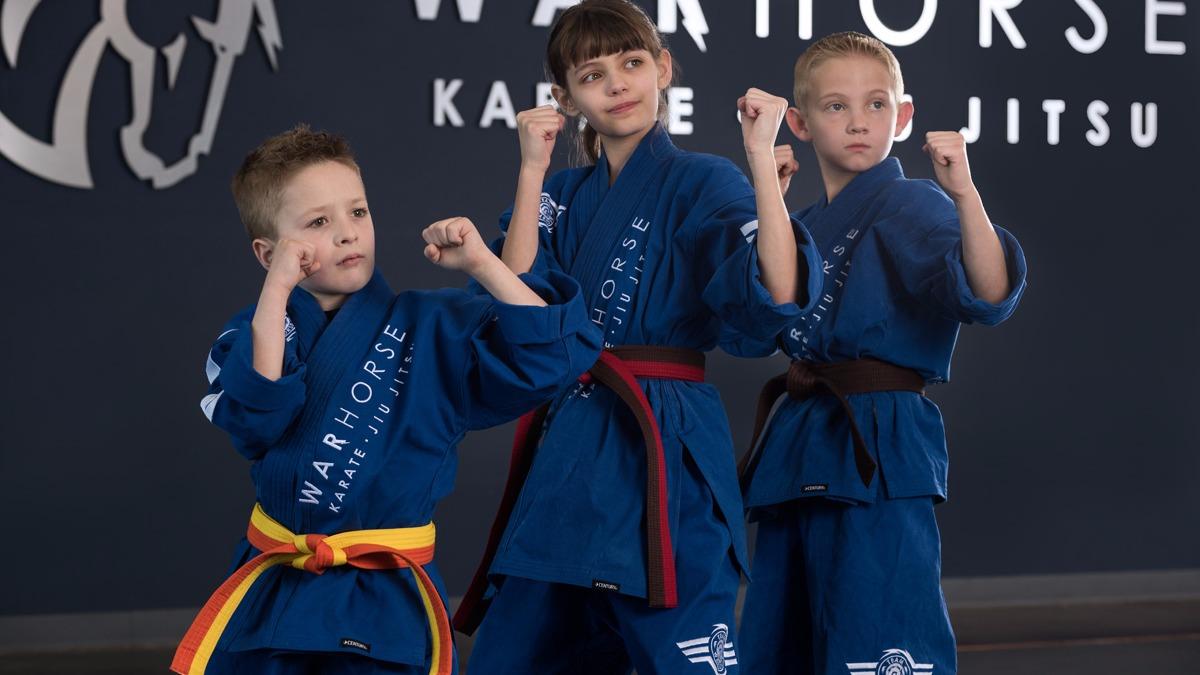 Main image of Warhorse Karate • Jiu Jitsu Spokane Valley