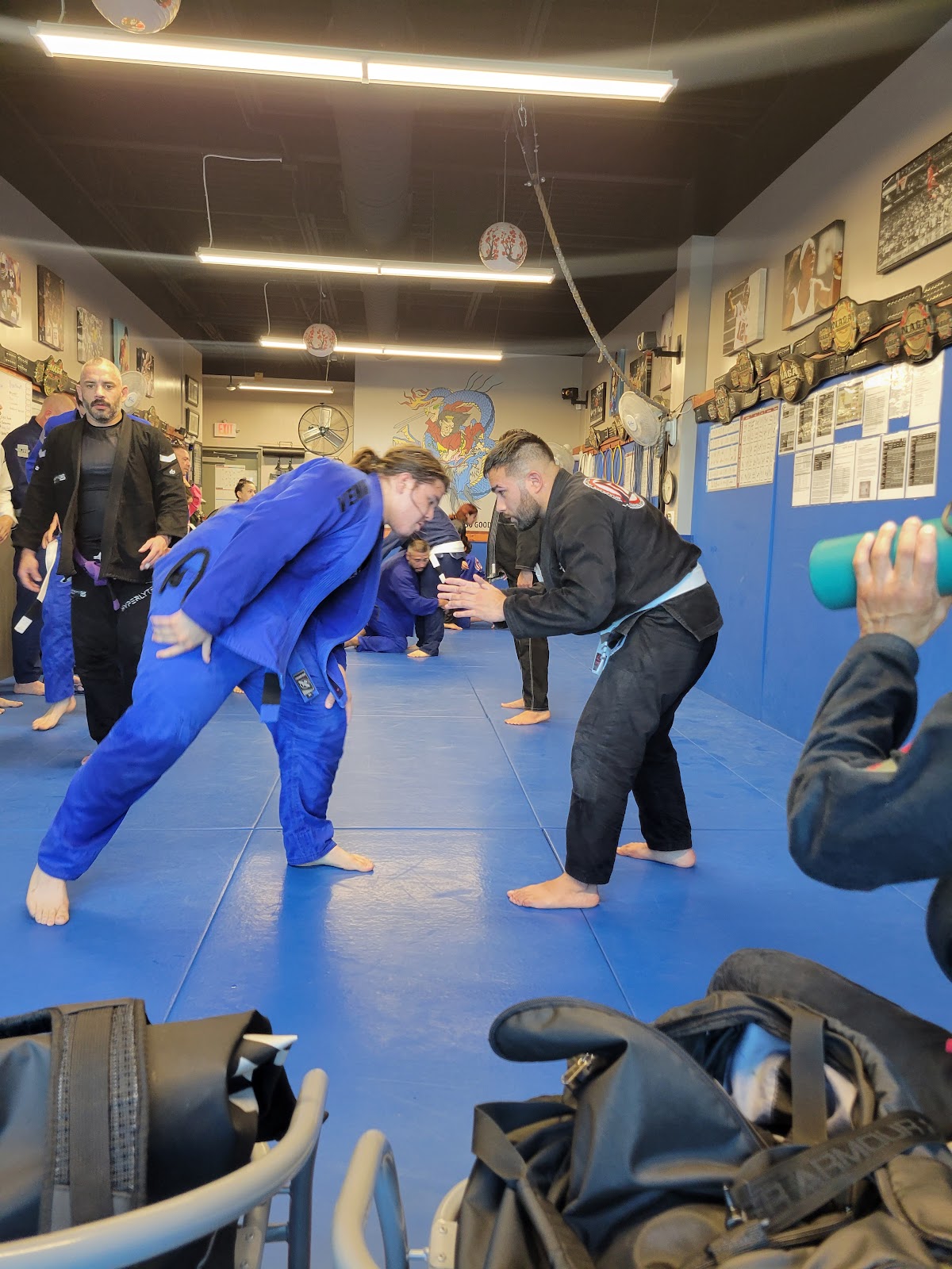 Image 6 of Musquiz Jiu Jitsu