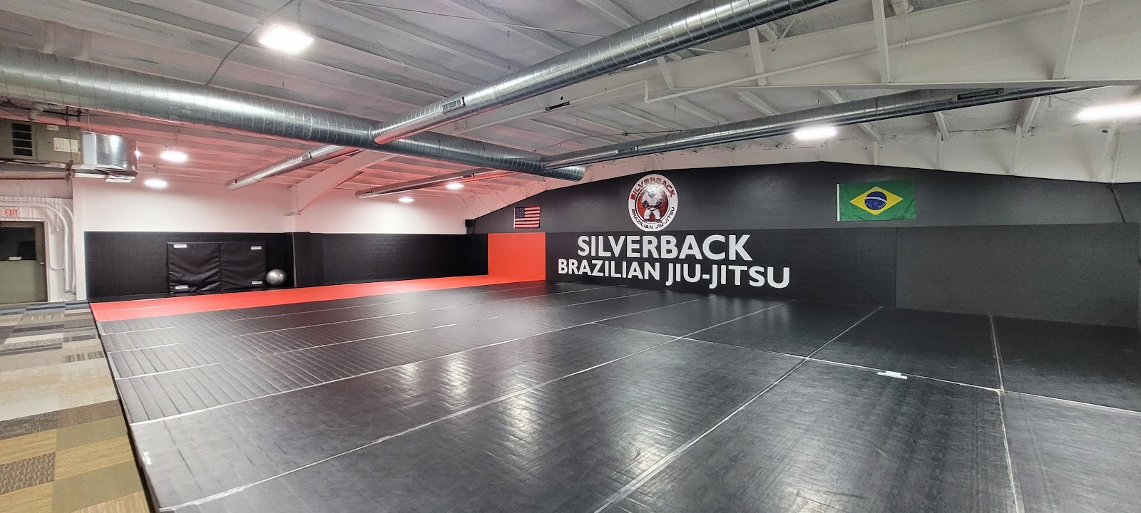 Silverback Brazilian Jiu-Jitsu Waupun photo