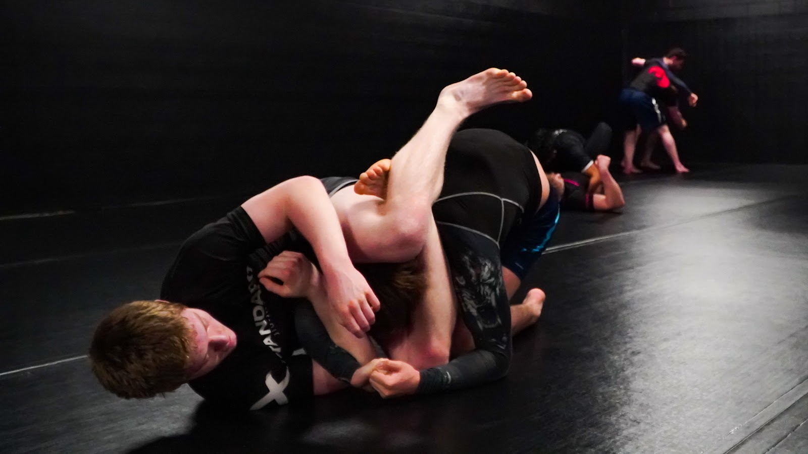 Image 2 of Standard Jiujitsu