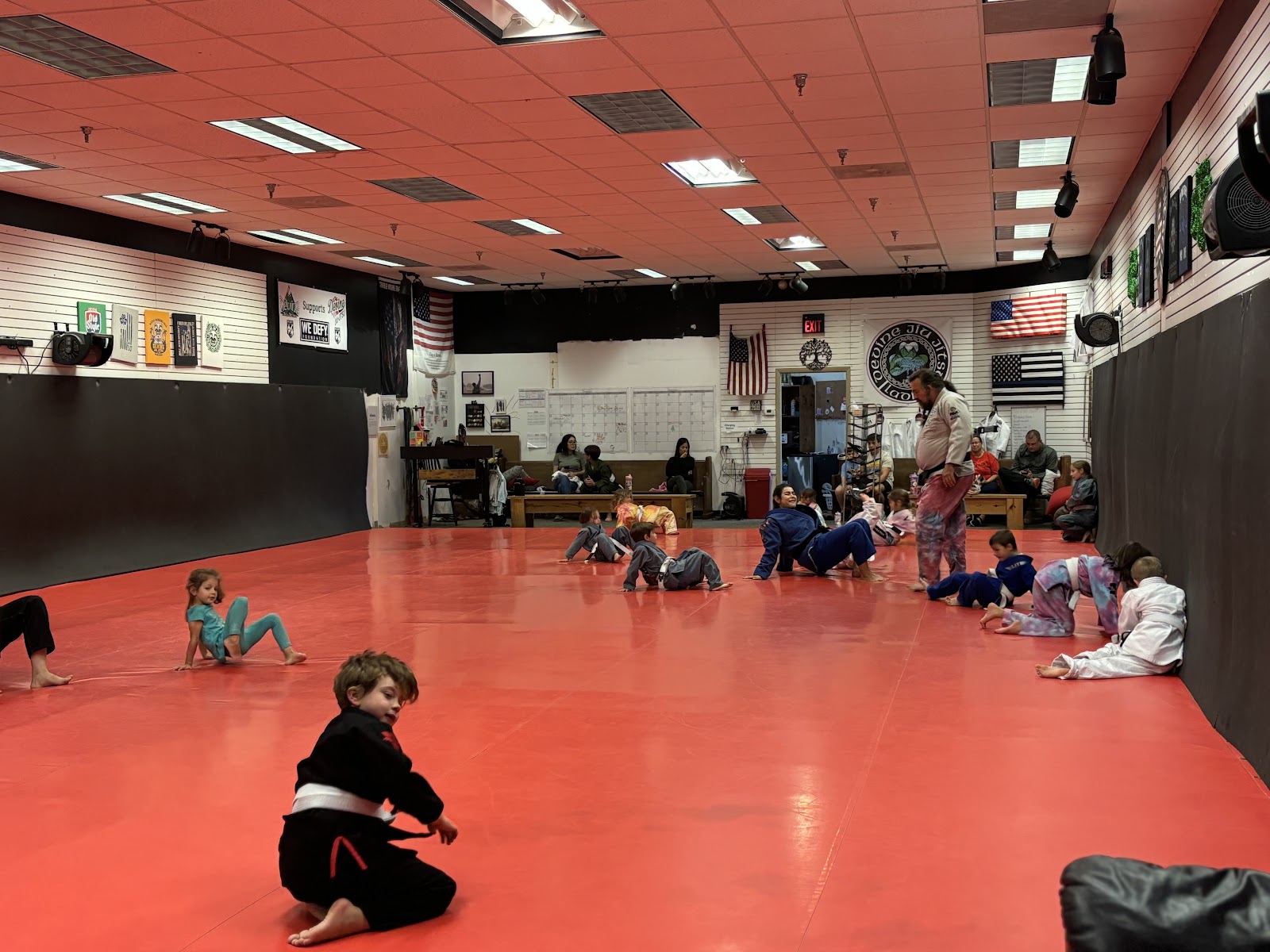 Image 4 of Devine Jiu Jitsu Brunswick