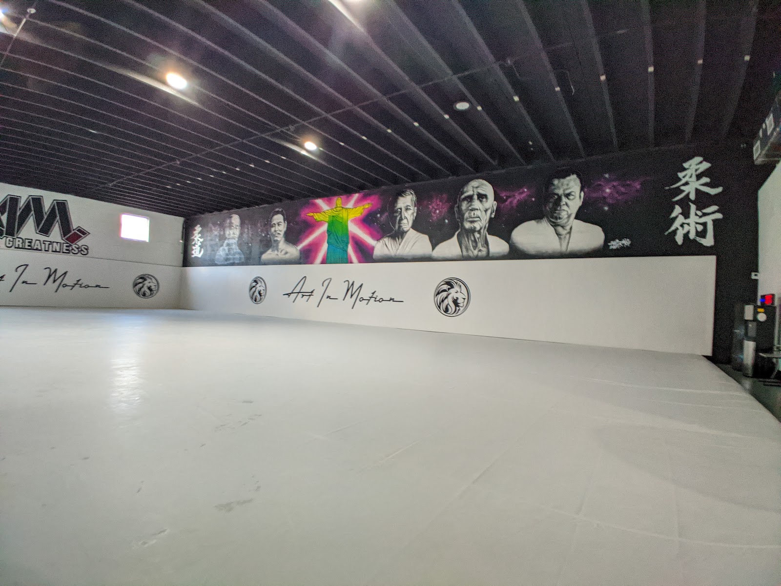 Image 2 of Art In Motion Jiu Jitsu Academy