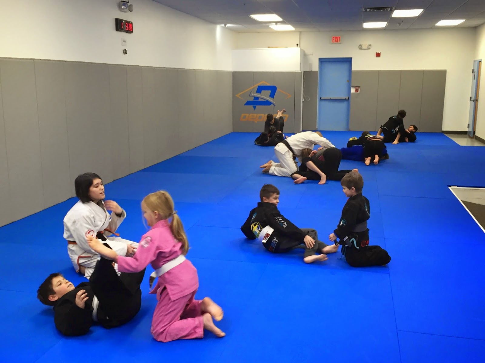 Dedeco Brazilian Jiu-Jitsu Pembroke photo