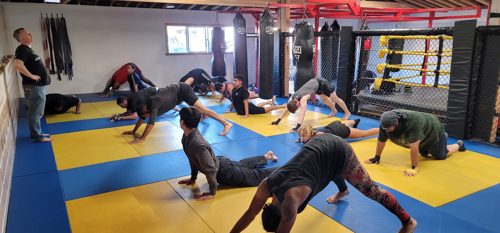 Image 8 of Tomacelli Academy: Brazilian Jiu-Jitsu & Mixed Martial Arts