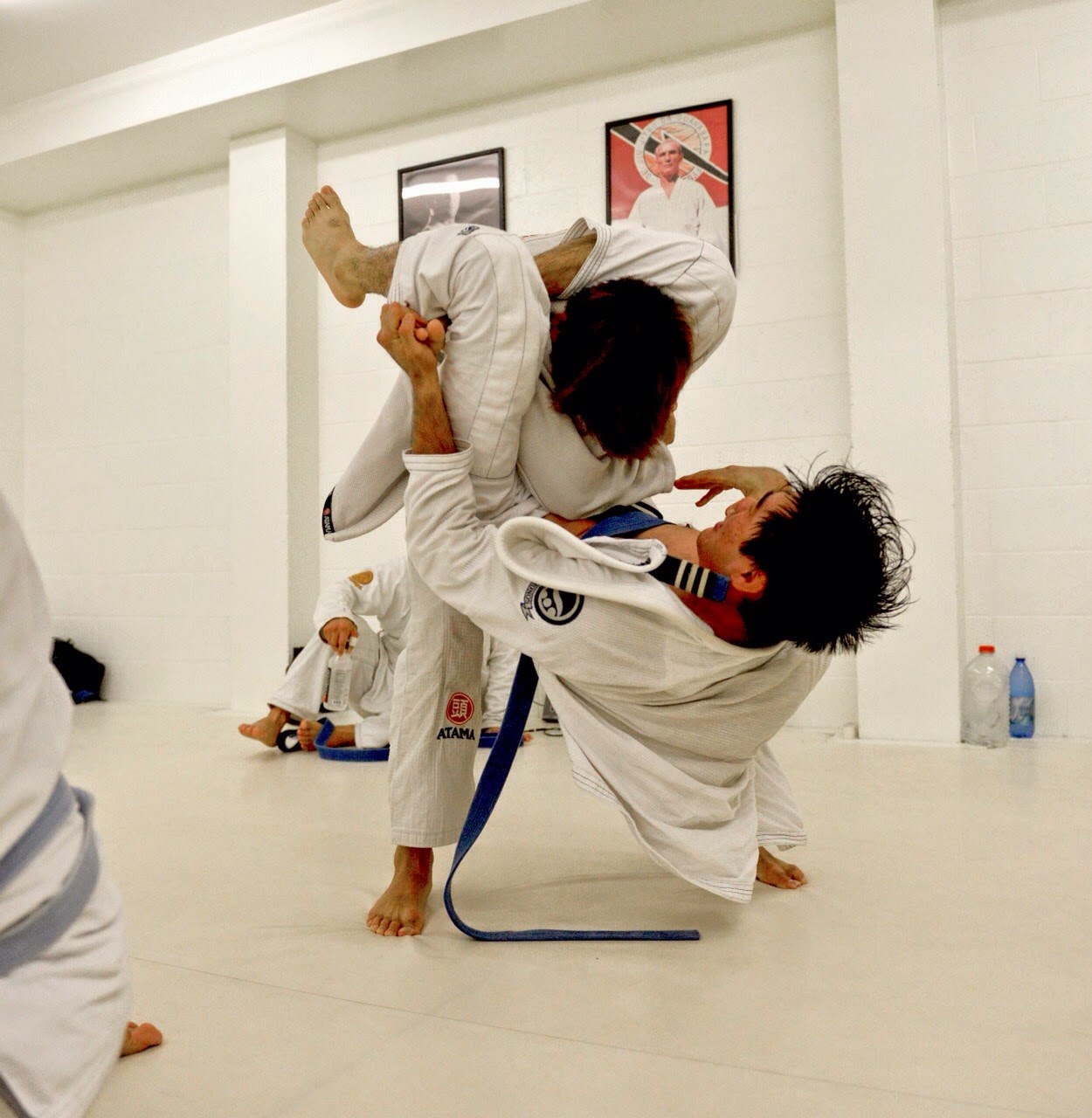 Main image of Relson Gracie Jiu-Jitsu - Ronn Shiraki Academy [RSA] Honolulu, Hawaii