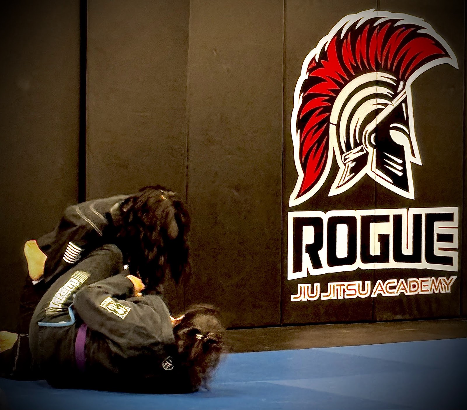 Image 9 of Rogue Jiu Jitsu Academy