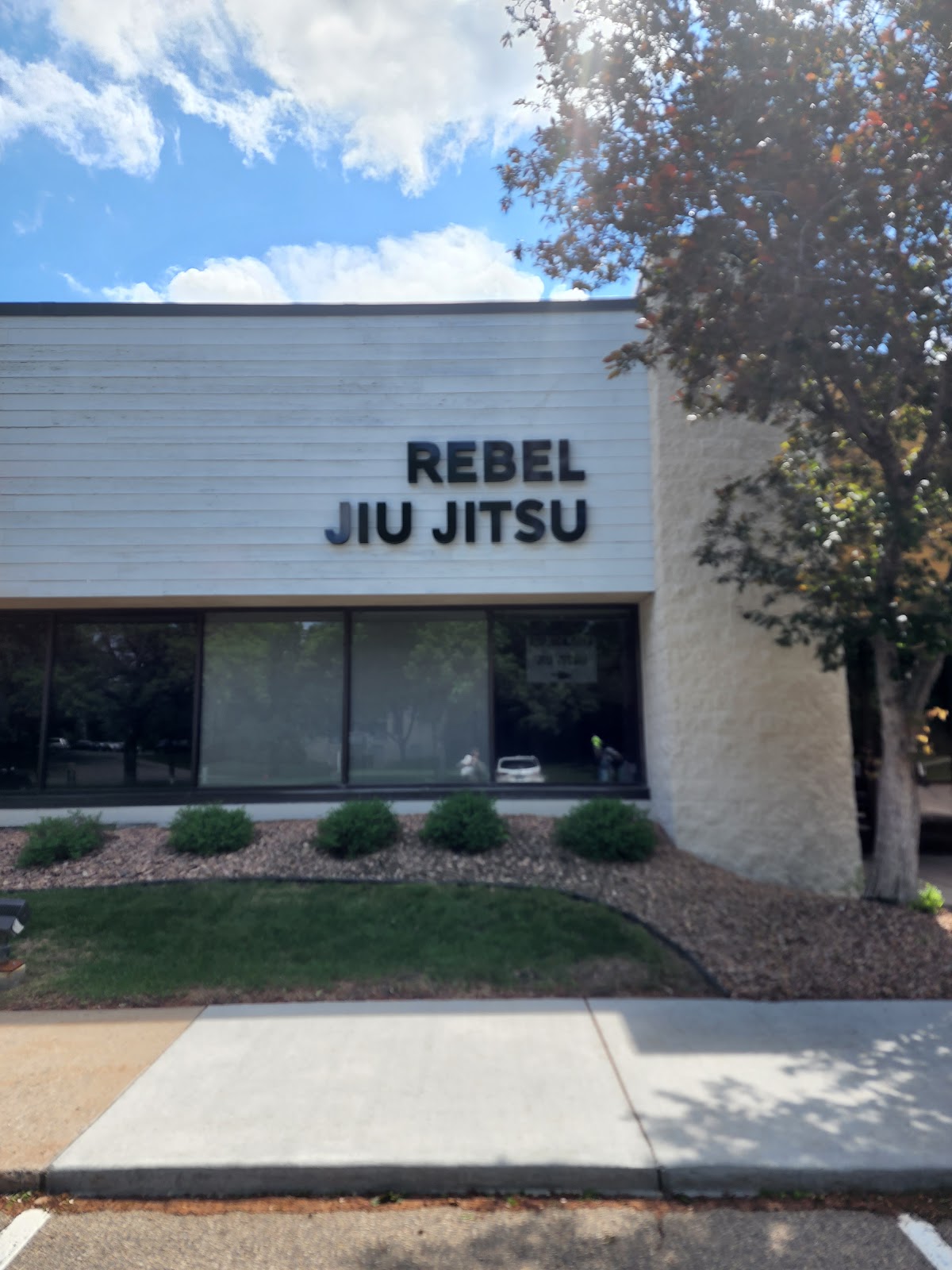 Rebel Jiu Jitsu photo