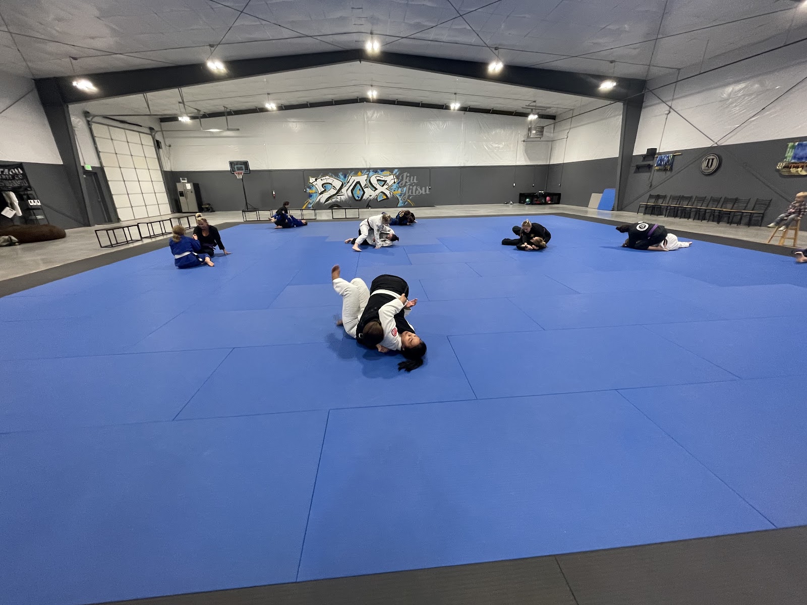 208 jiu jitsu photo