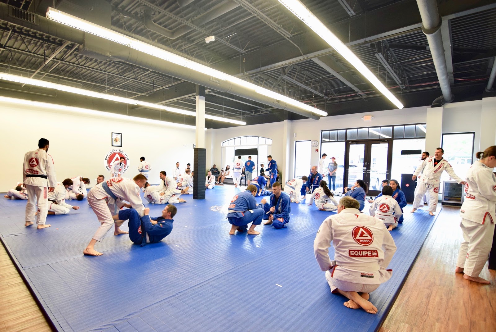 Gracie Barra Brazilian Jiu-Jitsu & Self Defense Deerfield photo