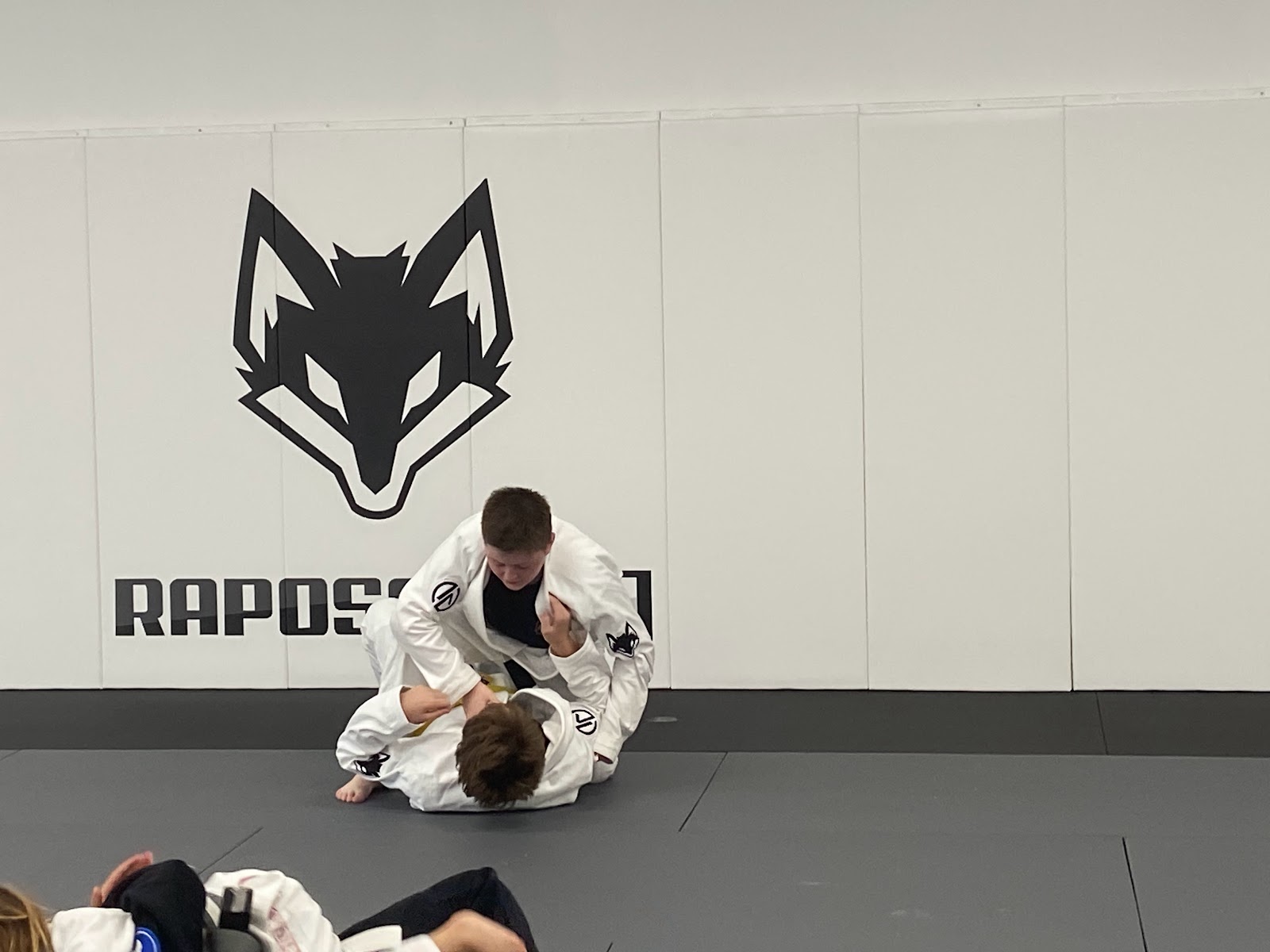 Image 5 of Raposo BJJ Academy