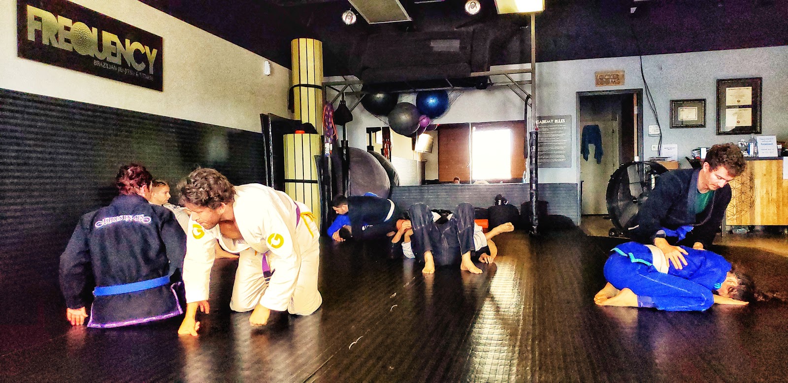 Image 2 of Frequency BJJ & Fitness