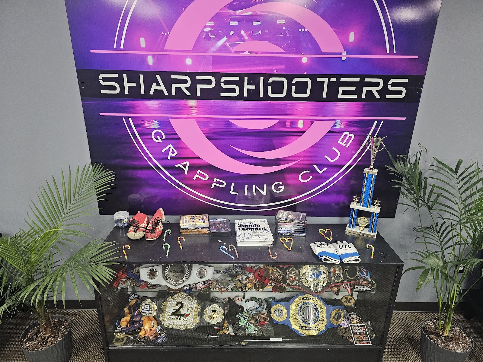 Image 2 of SharpShooters Grappling Club