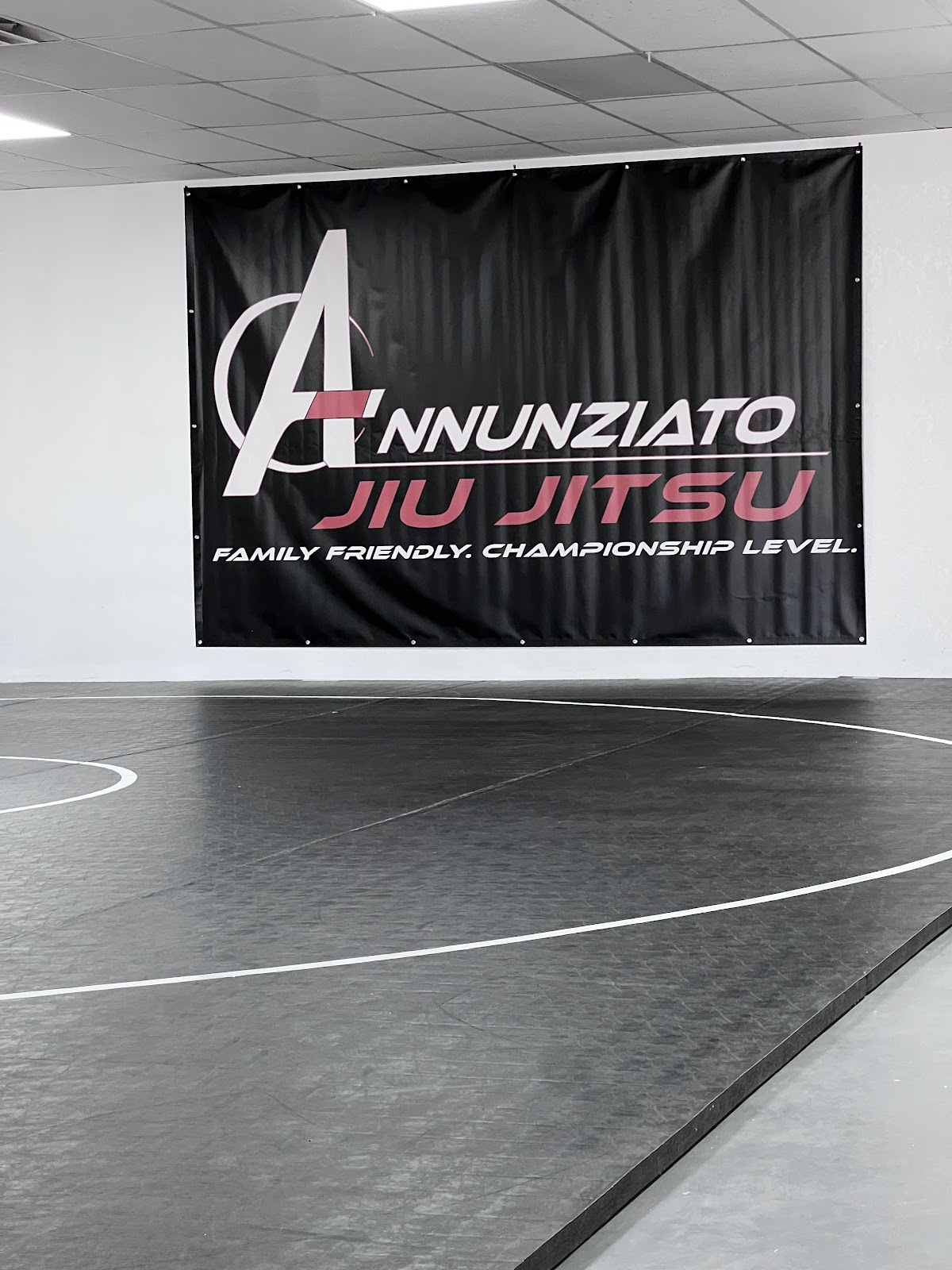 Image 3 of Annunziato Jiu Jitsu