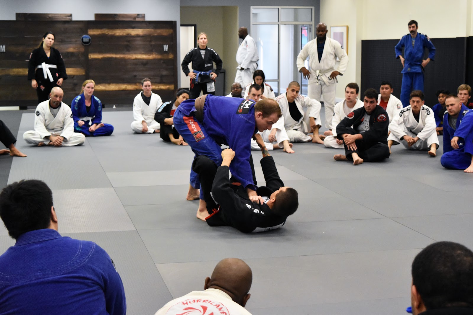 Image 3 of Hurricane Jiu Jitsu