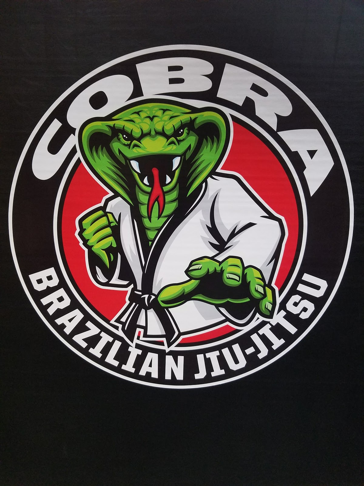 Image 8 of Cobra Brazilian Jiu Jitsu Mansfield