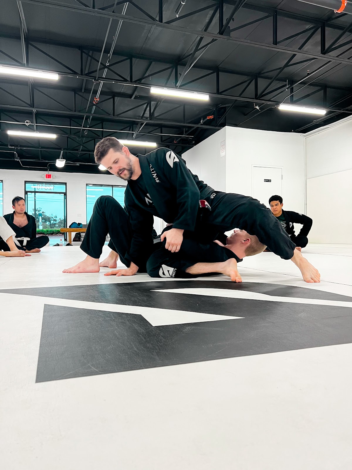 Image 4 of SANITY JIU JITSU WINTER GARDEN