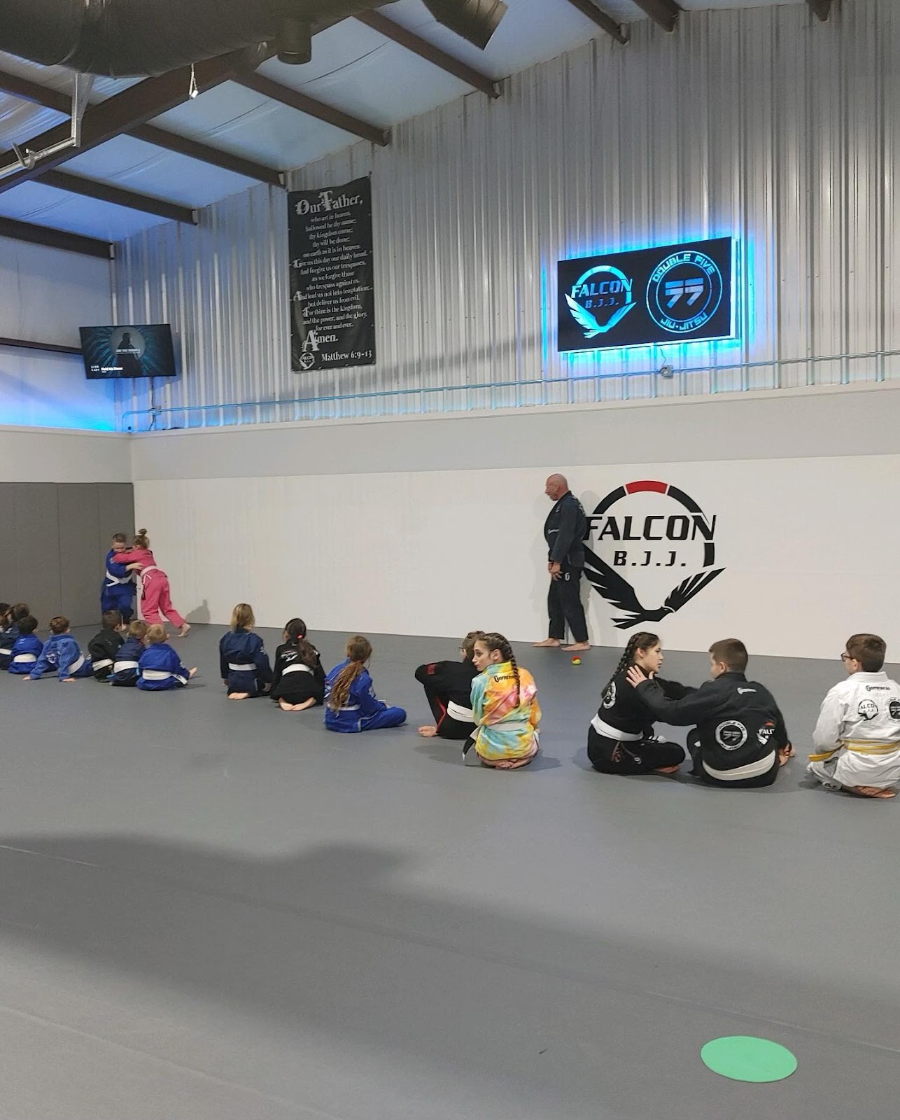 Image 7 of Falcon Brazilian Jiu Jitsu