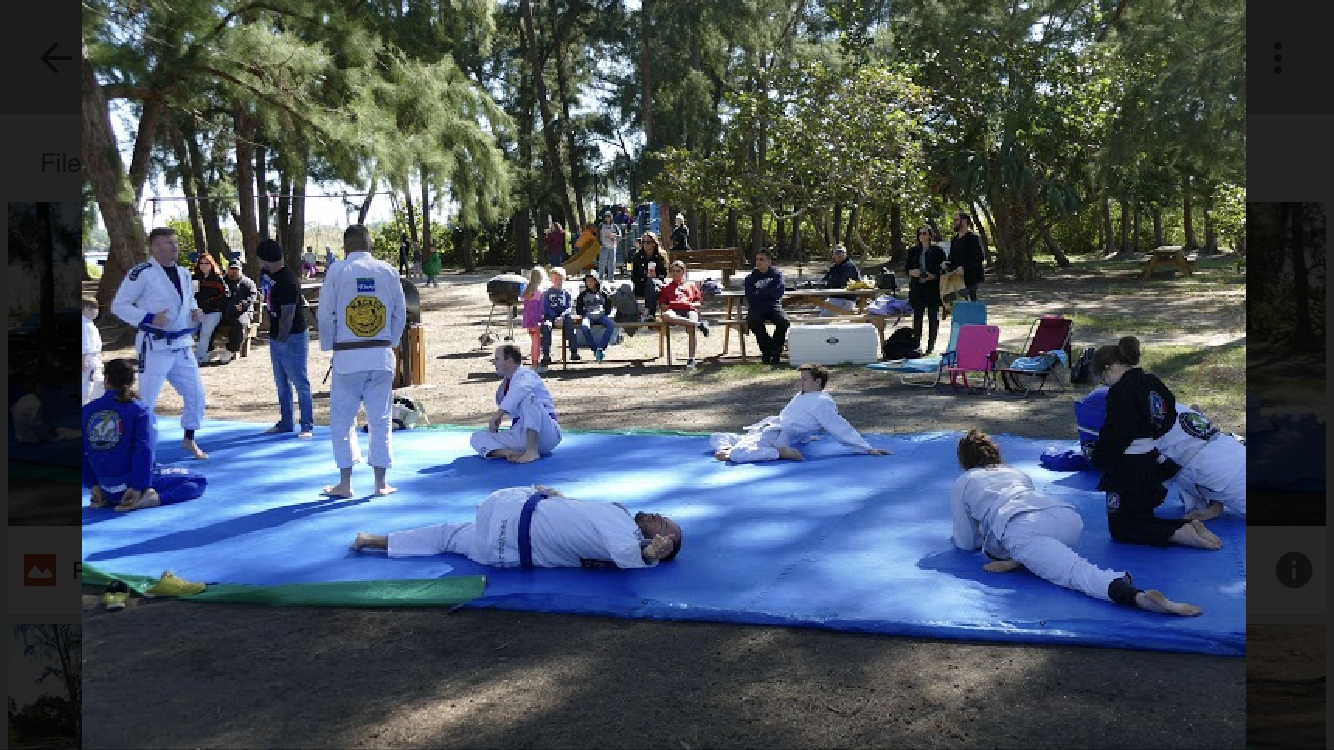 Main image of TeamAlves Brazilian Jiu-Jitsu school