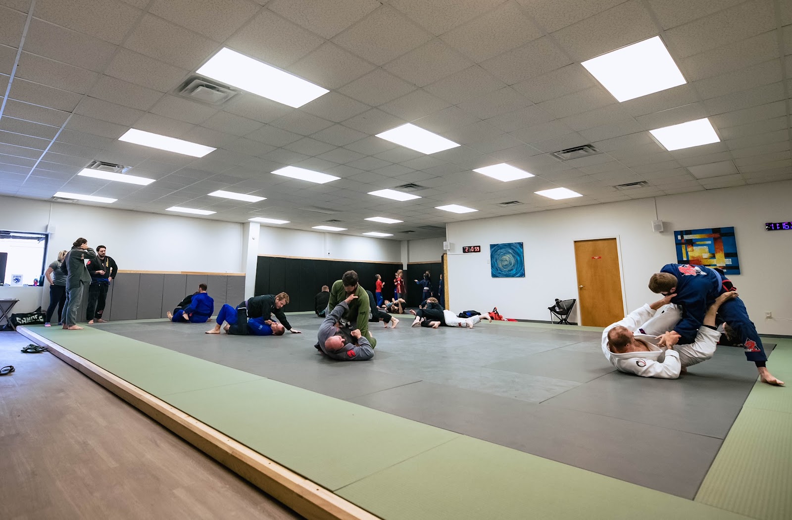 501 BJJ & Kickboxing (501 Martial Arts) photo