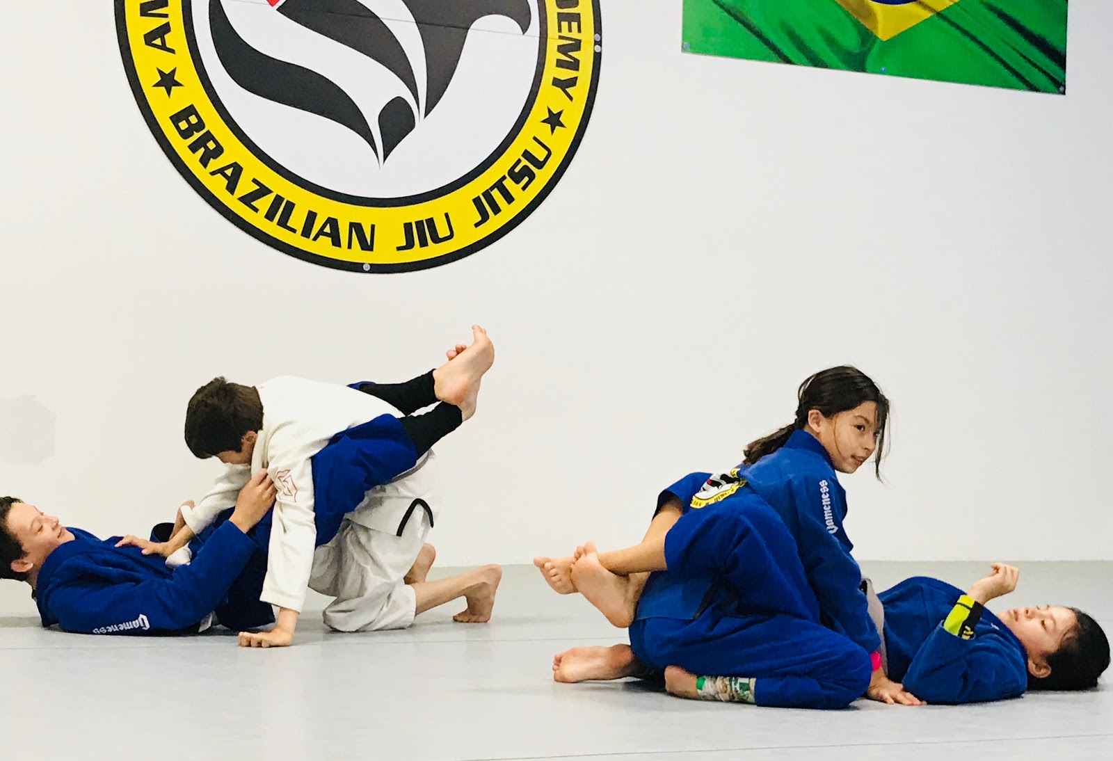 Image 6 of Leonardo Delgado Jiu-Jitsu Academy