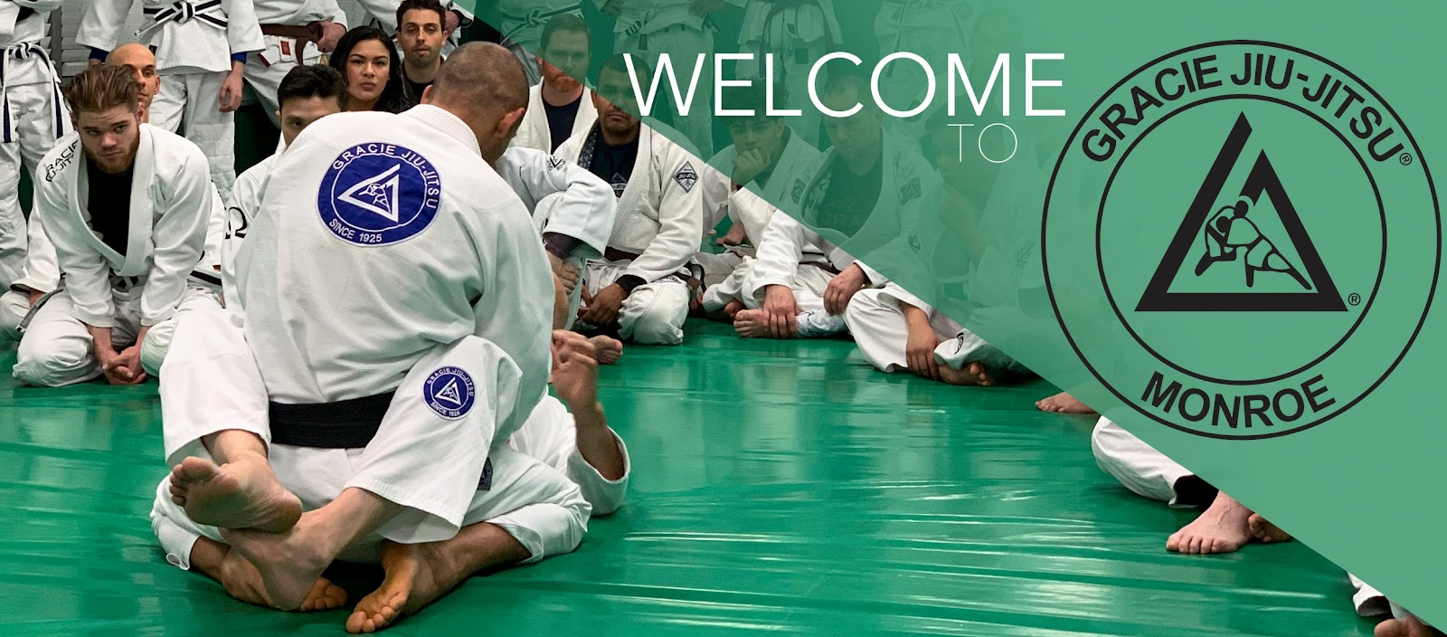 Gracie Jiu-Jitsu Monroe photo