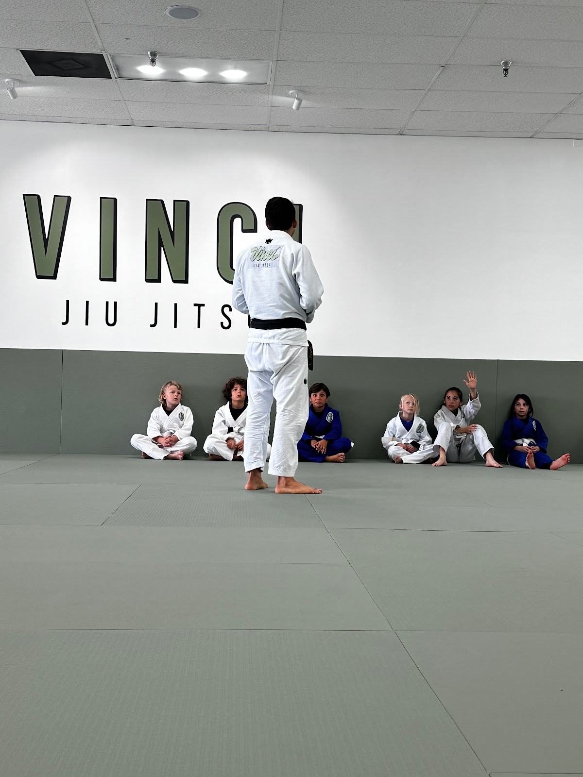 Vinci Jiu Jitsu photo