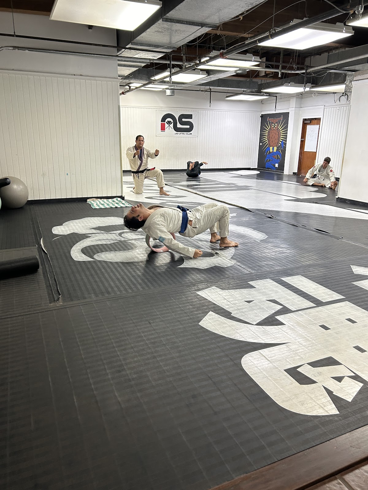 Main image of North Shore JiuJitsu Club