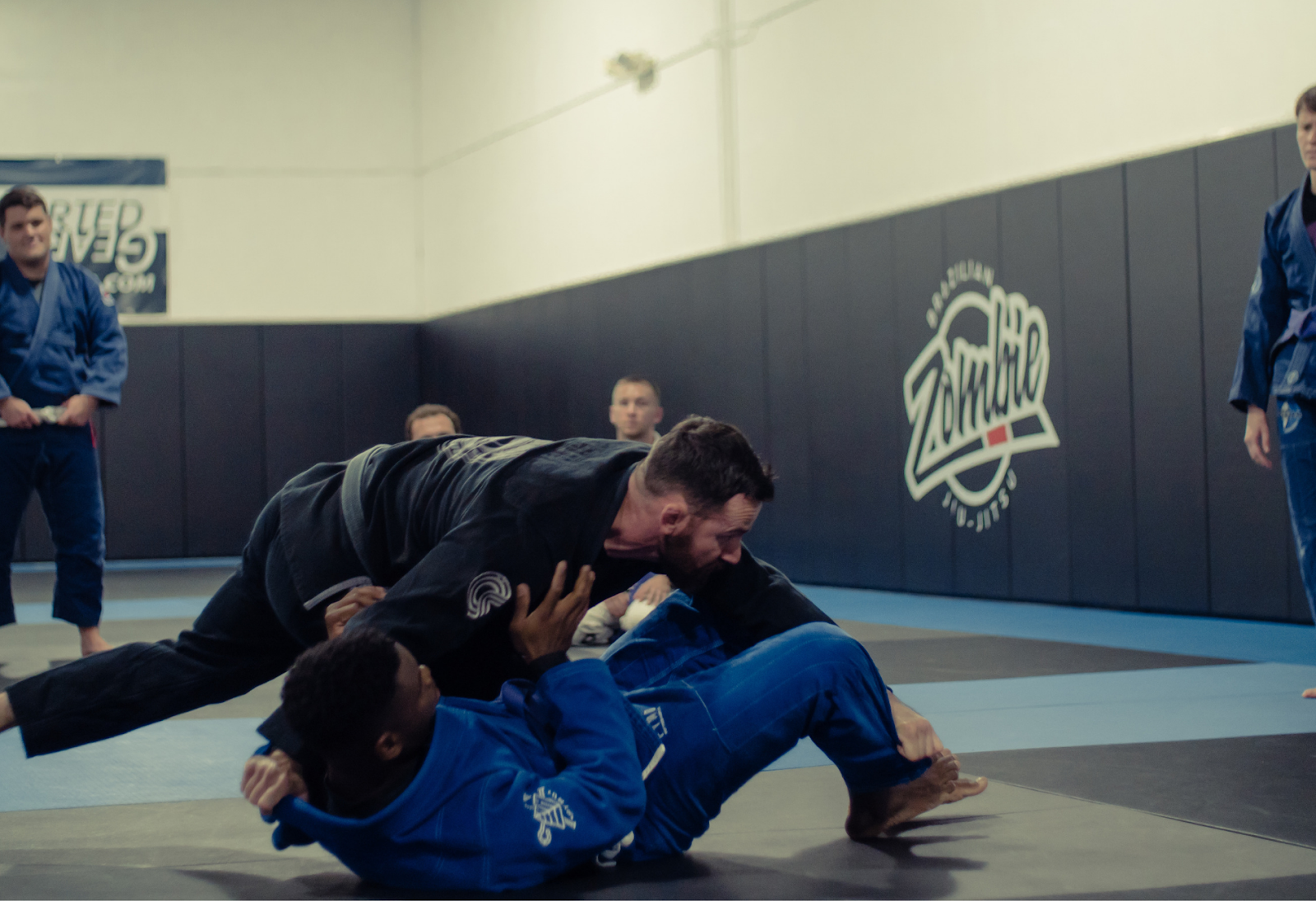 Main image of Zombie Brazilian Jiu-Jitsu and MMA Allentown