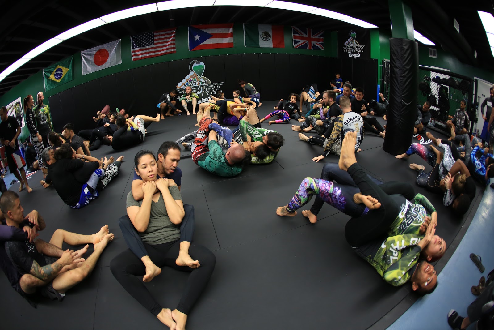 10th Planet Jiu-Jitsu Pasadena photo