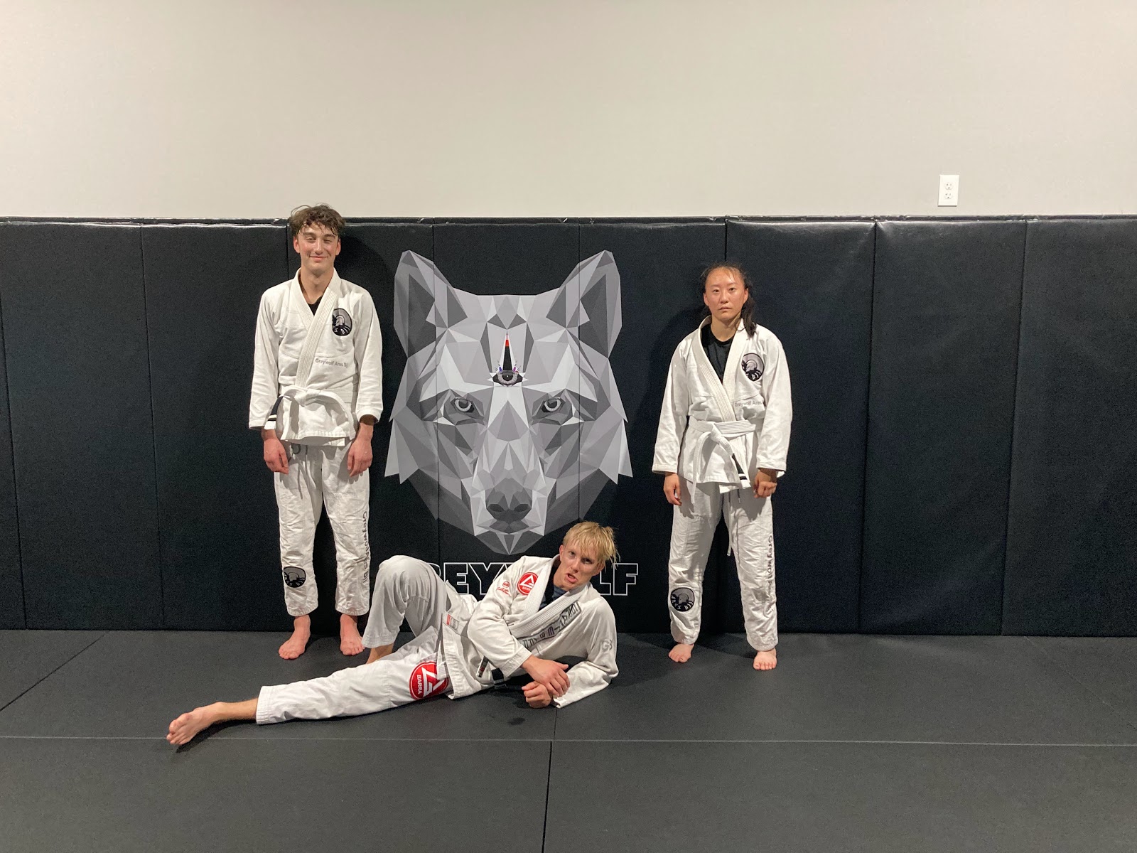 Image 2 of Ares PV BJJ