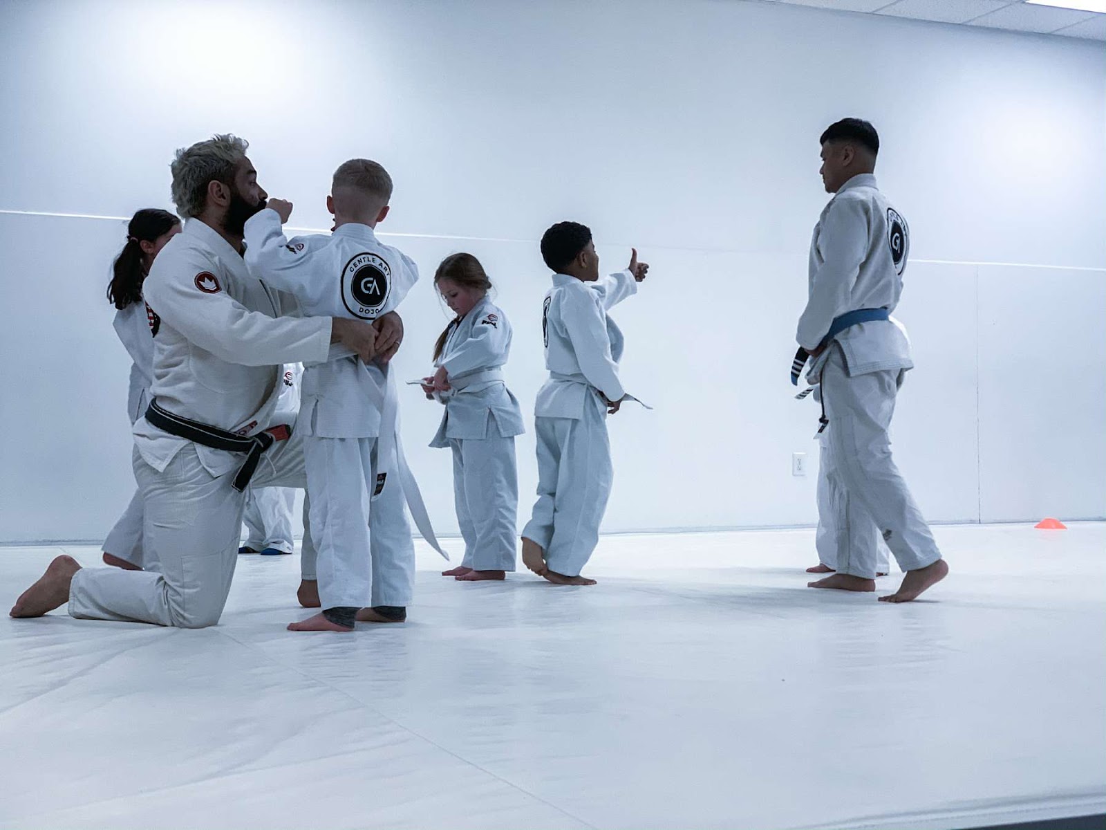 Image 8 of Gentle Art Dojo Hallandale Beach