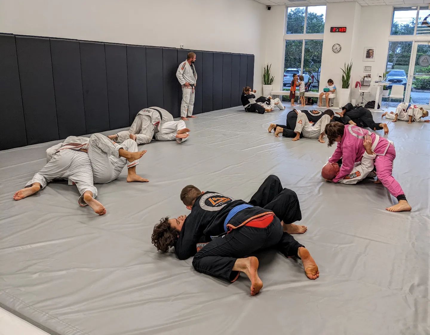 Image 4 of Gracie Elite Jiu-Jitsu Wellington