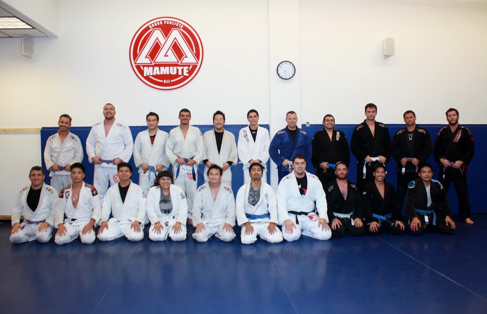 Main image of Mamute Jiu Jitsu