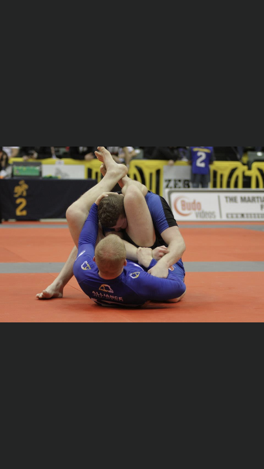 Alliance Brazilian Jiu Jitsu River City photo