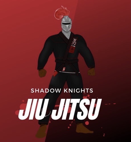 Shadow knights jiu jitsu photo