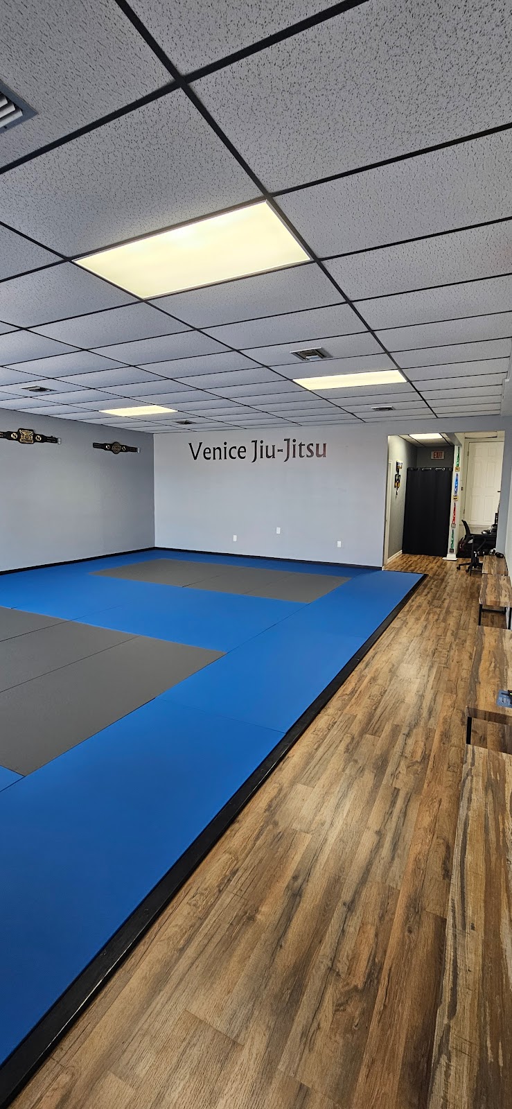 Venice Jiu-Jitsu photo