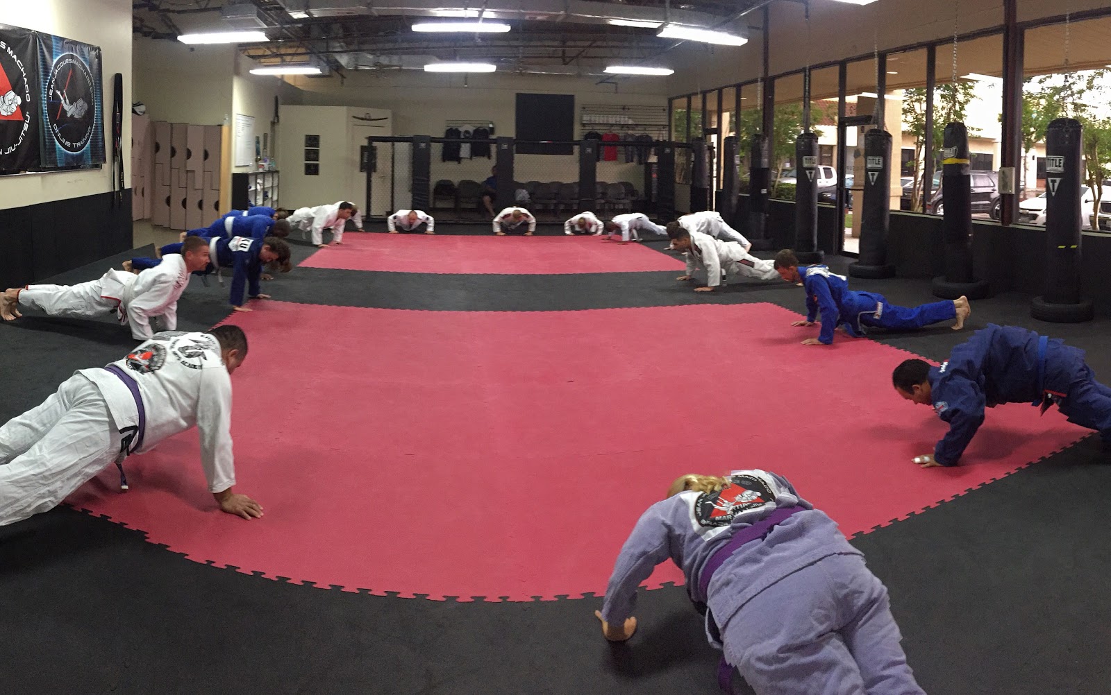 Image 3 of Knuckle up Jacksonville Jean Jacques Machado Brazilian Jiu Jitsu and Fitness