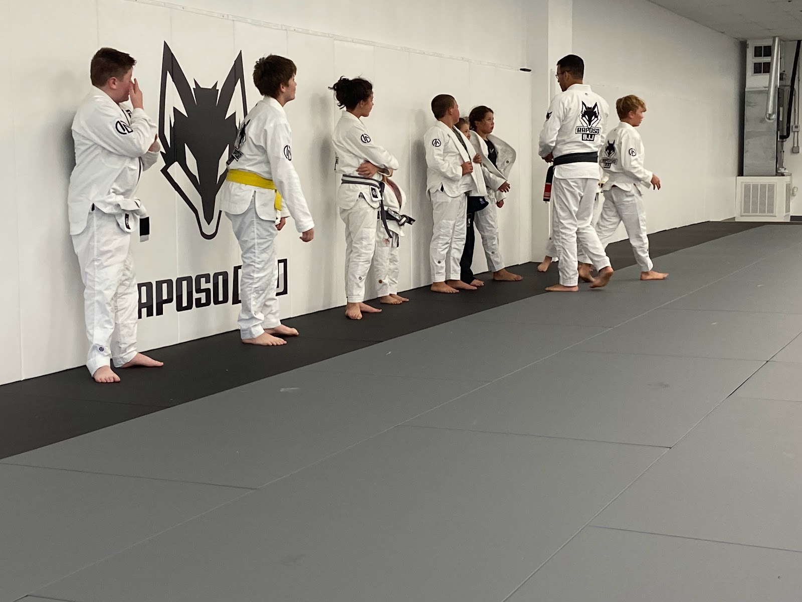 Main image of Raposo BJJ Academy