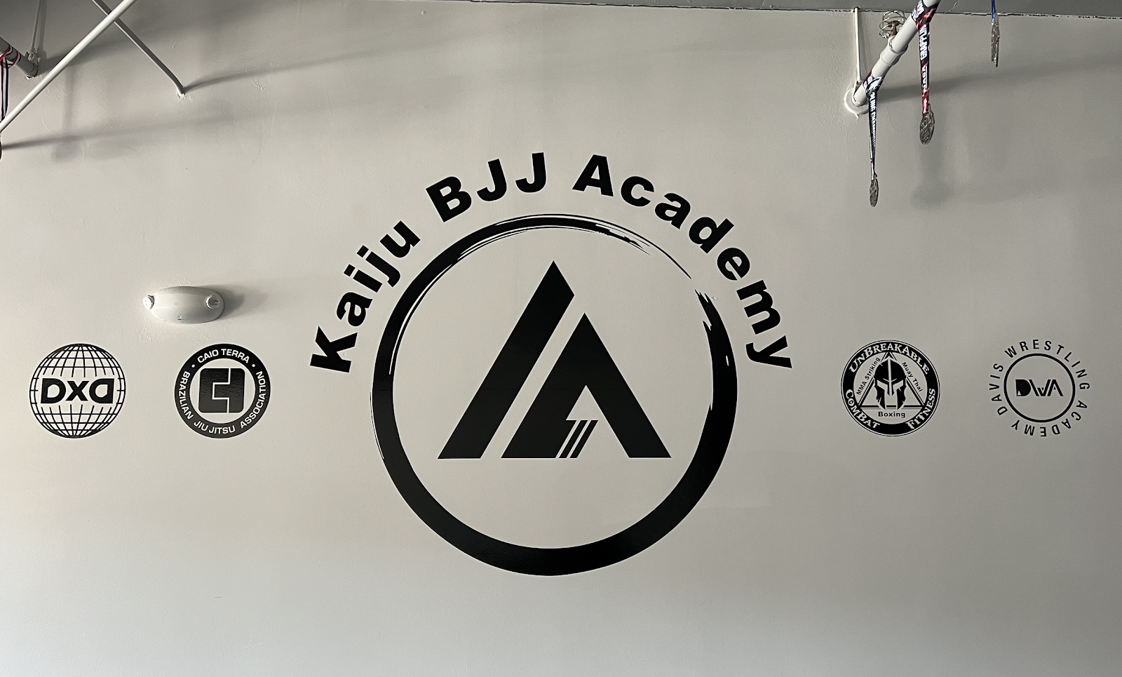 Image 8 of Kaiju BJJ Academy