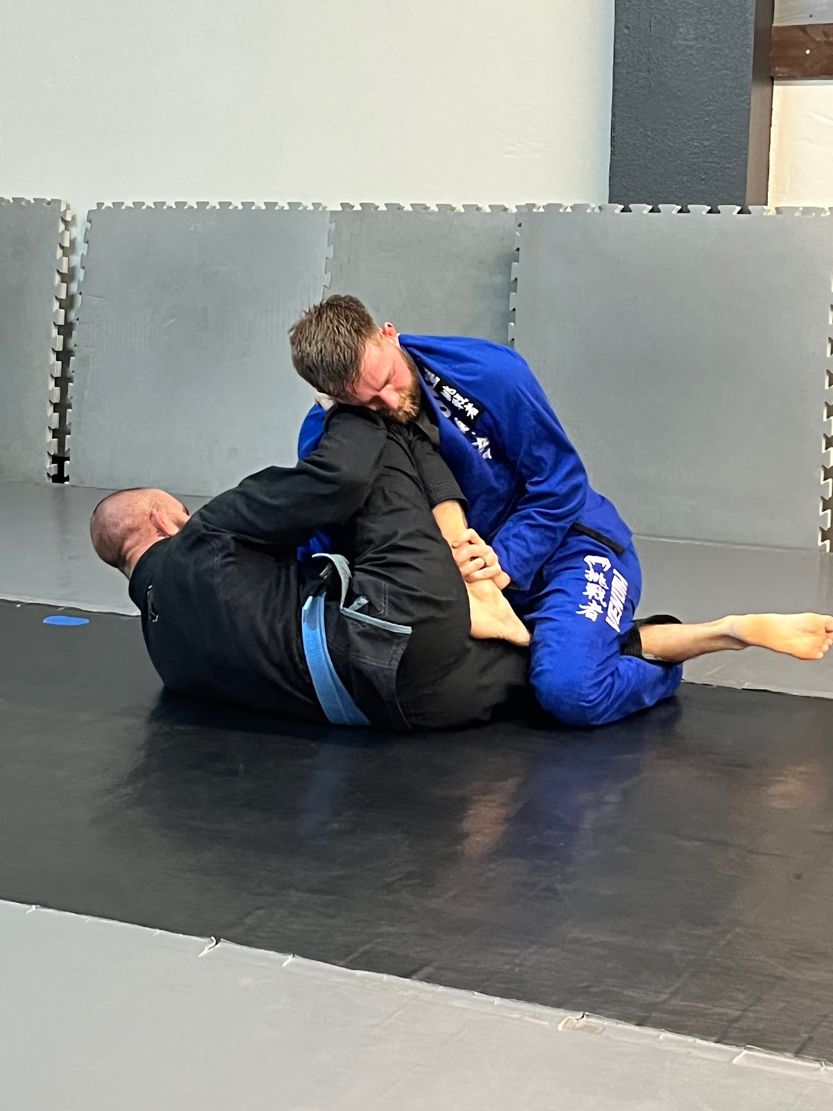 Image 3 of Mat Monster Grappling