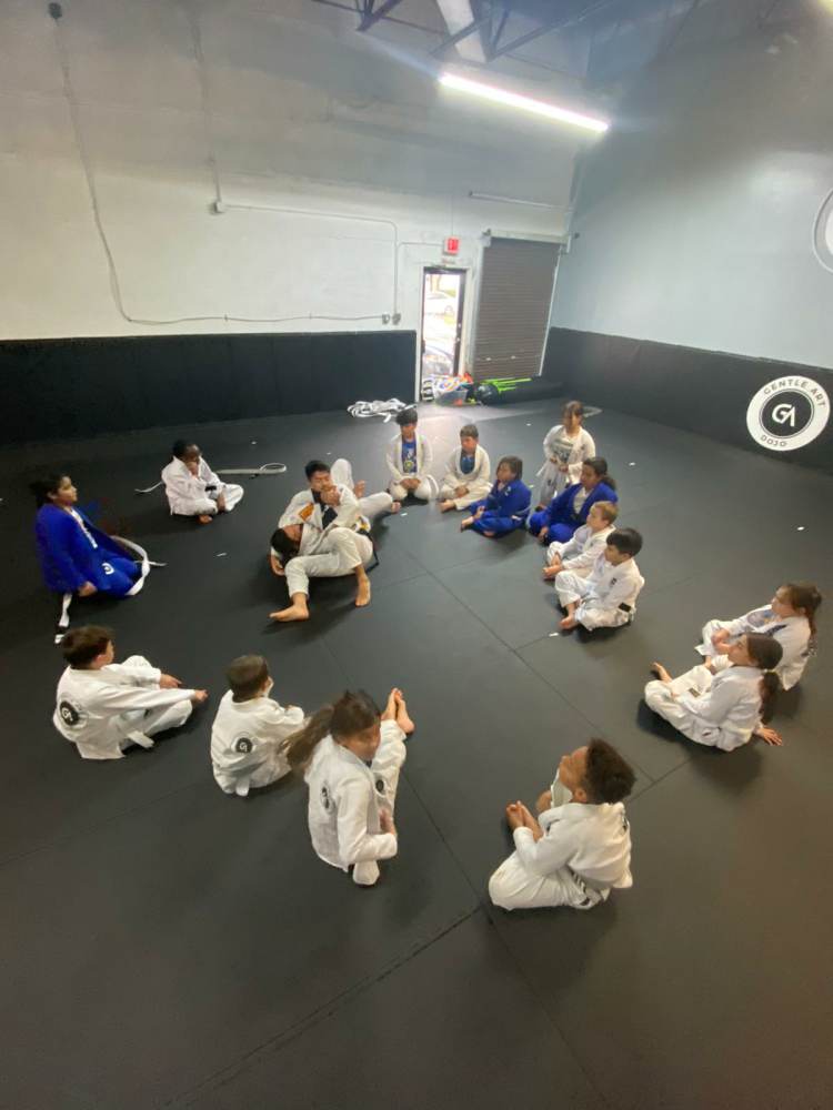 Image 4 of Gentle Art Dojo Hallandale Beach