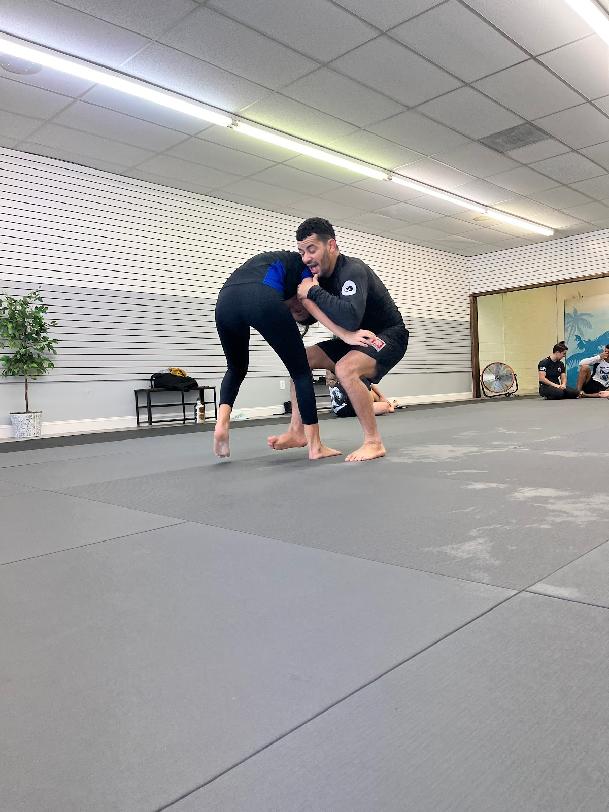 Image 7 of Virtus BJJ Checkmat Pensacola