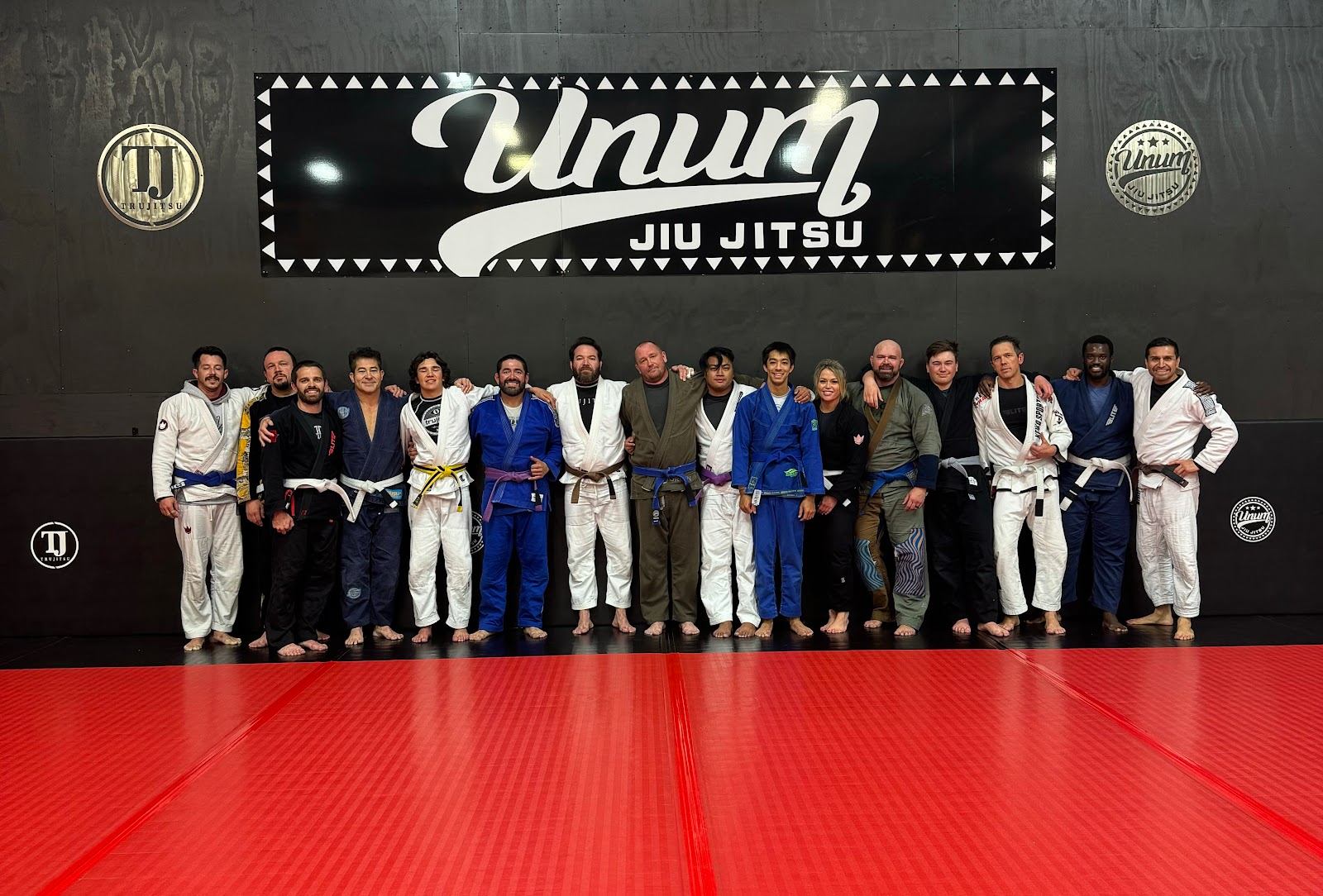 Image 4 of TRUJITSU Unified-Unum Jiu Jitsu