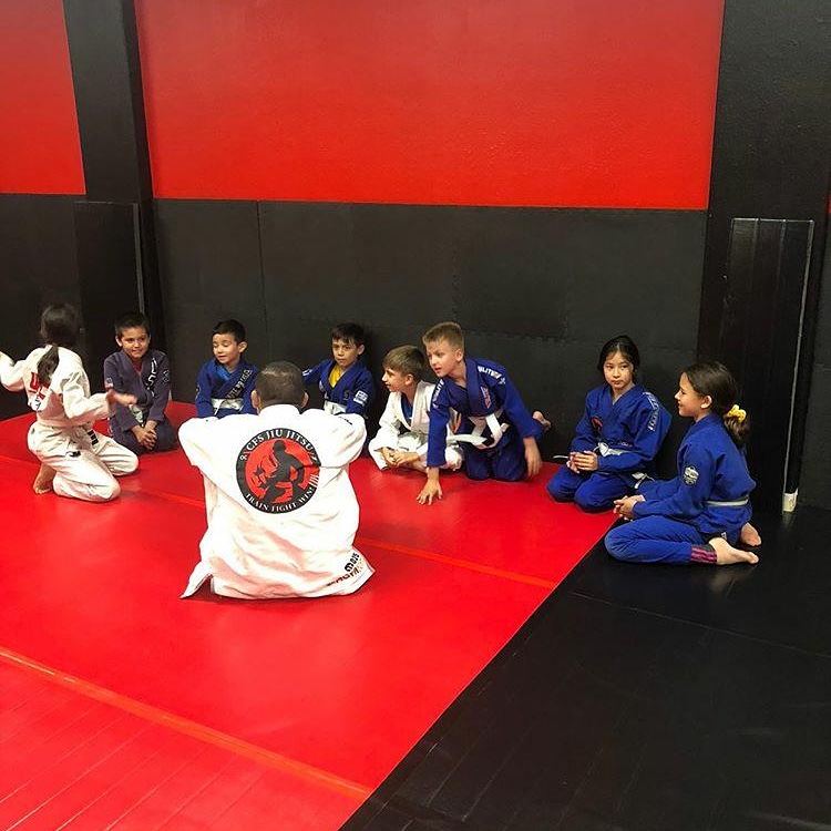 CFS Jiu Jitsu photo