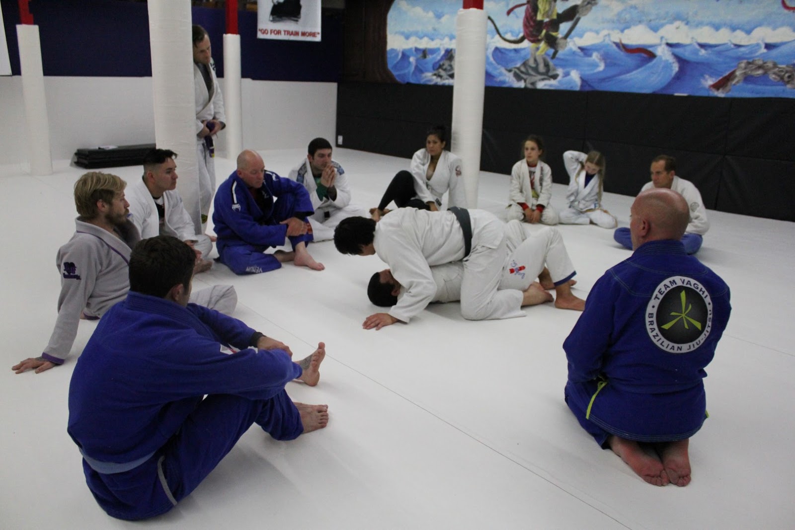 Image 4 of Verde Valley Brazilian Jiu Jitsu