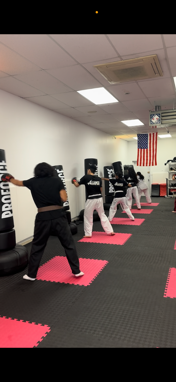 Alliance Martial Arts NY photo